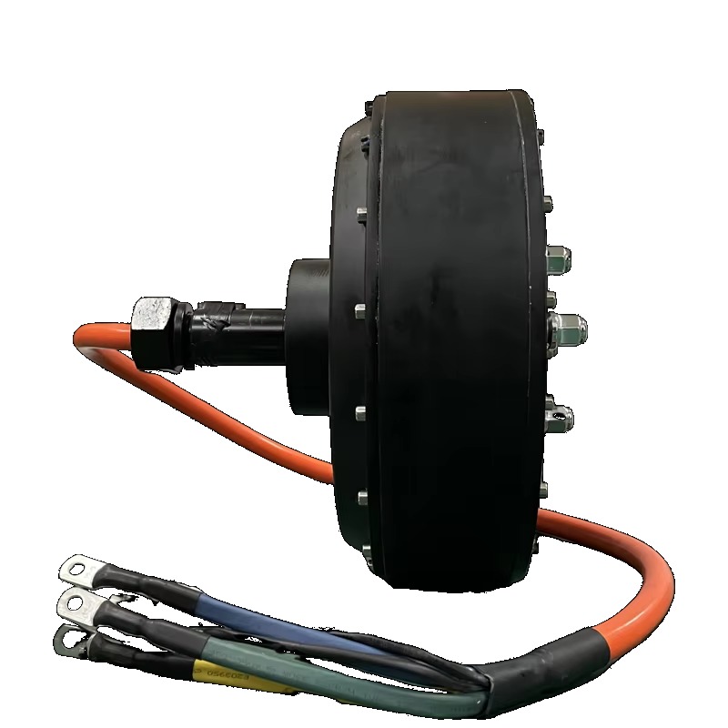 Dual QS 273 8000W 72V Electric - огляд і ціна Qs Motor 273 8000W Hub Motor